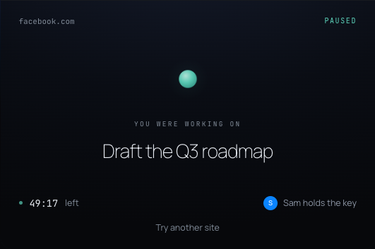 Official DeepZone block-screen demo displaying facebook.com and a return-to-work reminder