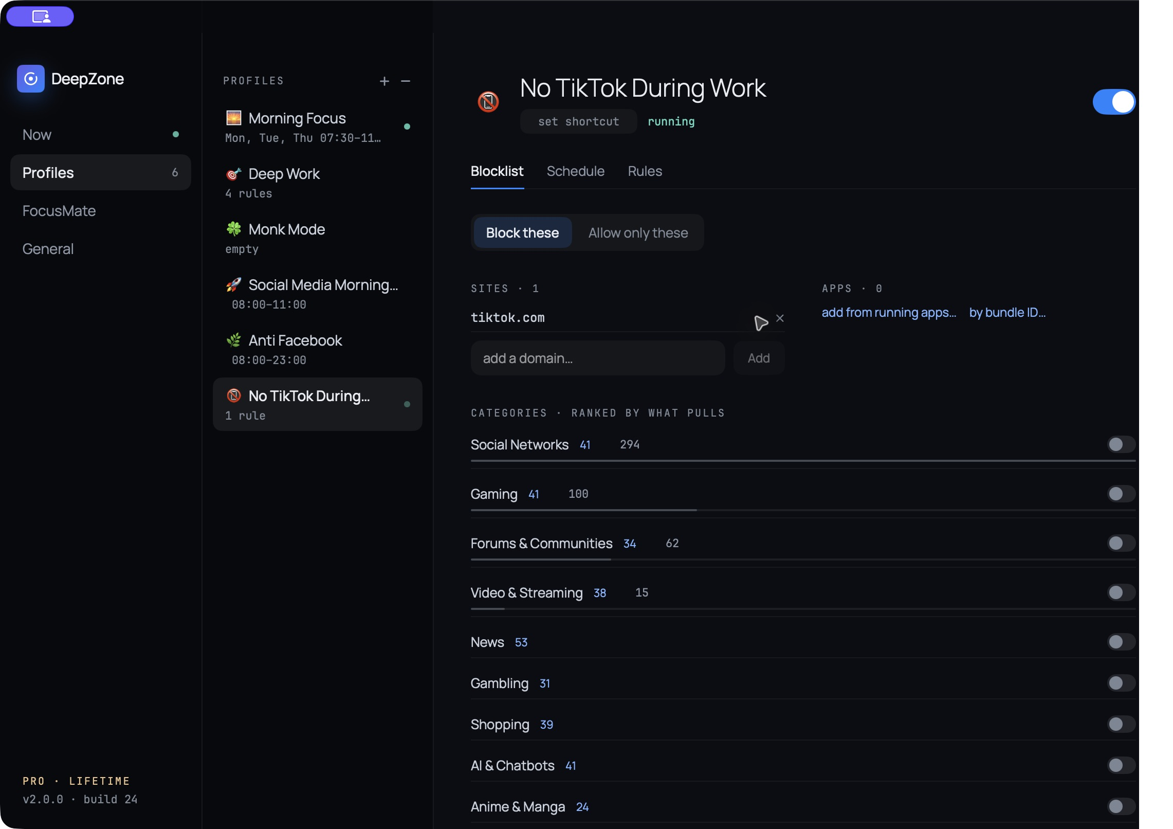 DeepZone profile named No TikTok During Work with tiktok.com in its website block list